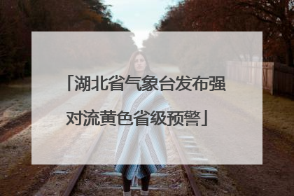 湖北省气象台发布强对流黄色省级预警