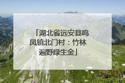 湖北省远安县鸣凤镇北门村：竹林遍野绿生金
