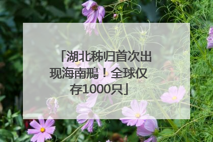 湖北秭归首次出现海南鳽！全球仅存1000只