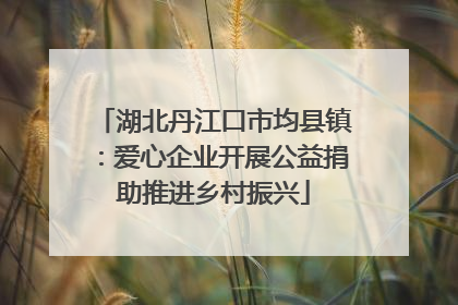 湖北丹江口市均县镇：爱心企业开展公益捐助推进乡村振兴