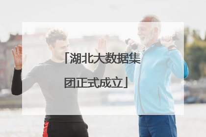 湖北大数据集团正式成立