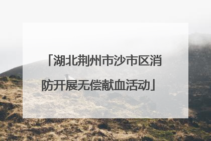 湖北荆州市沙市区消防开展无偿献血活动