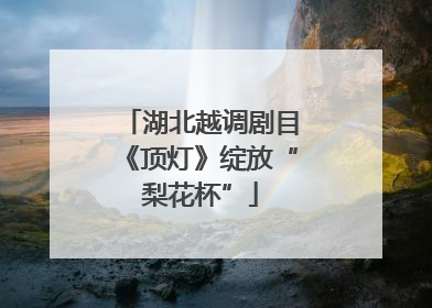 湖北越调剧目《顶灯》绽放“梨花杯”