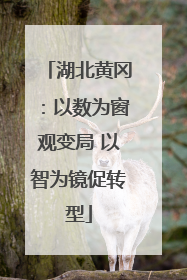 湖北黄冈：以数为窗观变局 以智为镜促转型