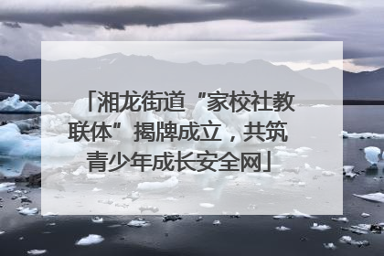湘龙街道“家校社教联体”揭牌成立，共筑青少年成长安全网