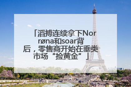 滔搏连续拿下Norrøna和soar背后，零售商开始在垂类市场“捡黄金”