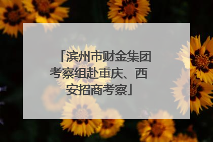 滨州市财金集团考察组赴重庆、西安招商考察