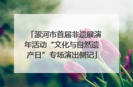 漯河市首届非遗展演年活动“文化与自然遗产日”专场演出侧记