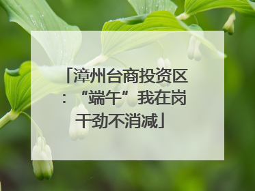 漳州台商投资区：“端午”我在岗 干劲不消减