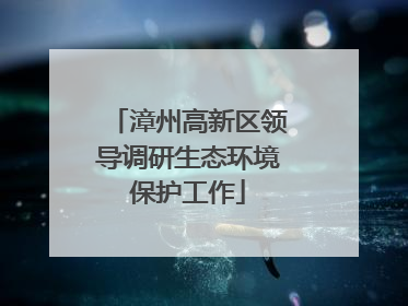 漳州高新区领导调研生态环境保护工作