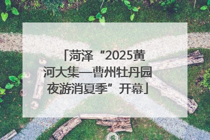 菏泽“2025黄河大集—曹州牡丹园夜游消夏季”开幕