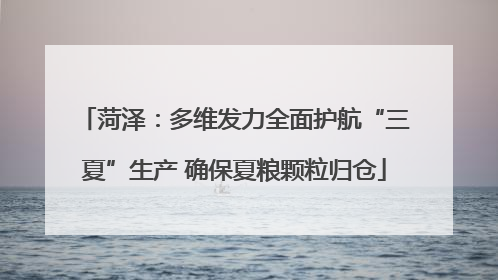 菏泽：多维发力全面护航“三夏”生产 确保夏粮颗粒归仓