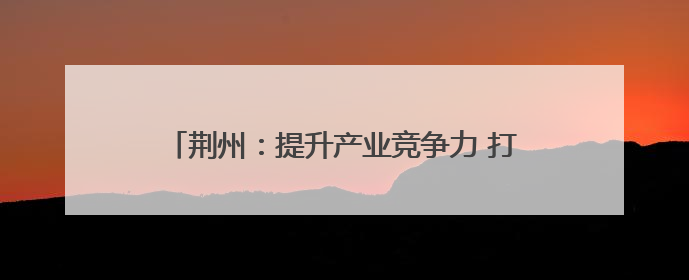 荆州：提升产业竞争力 打造现代化产业体系新高地