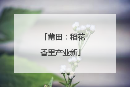 莆田：稻花香里产业新