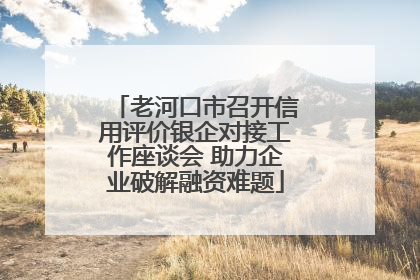 老河口市召开信用评价银企对接工作座谈会 助力企业破解融资难题