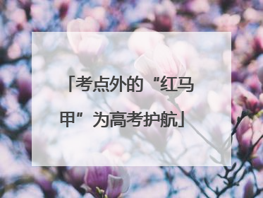 考点外的“红马甲”为高考护航