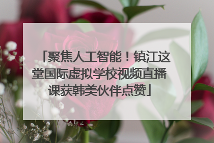聚焦人工智能！镇江这堂国际虚拟学校视频直播课获韩美伙伴点赞