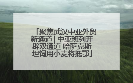 聚焦武汉中亚外贸新通道│中亚班列开辟双通道 哈萨克斯坦饲用小麦将抵鄂