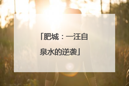 肥城：一汪自泉水的逆袭