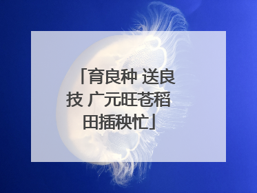 育良种 送良技 广元旺苍稻田插秧忙