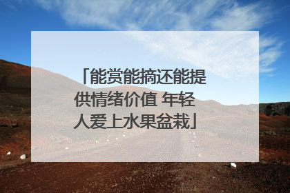 能赏能摘还能提供情绪价值 年轻人爱上水果盆栽
