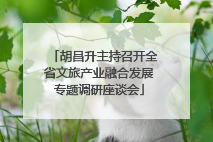 胡昌升主持召开全省文旅产业融合发展专题调研座谈会