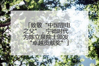 致敬“中国锂电之父”，宁德时代为陈立泉院士颁发“卓越贡献奖”