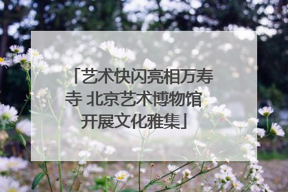 艺术快闪亮相万寿寺 北京艺术博物馆开展文化雅集
