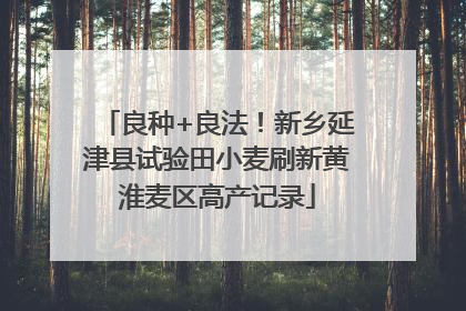 良种+良法！新乡延津县试验田小麦刷新黄淮麦区高产记录