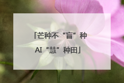 芒种不“盲”种 AI“慧”种田