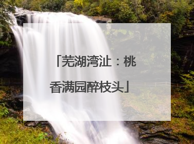 芜湖湾沚：桃香满园醉枝头