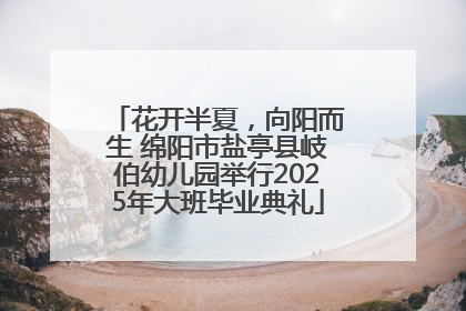 花开半夏，向阳而生 绵阳市盐亭县岐伯幼儿园举行2025年大班毕业典礼