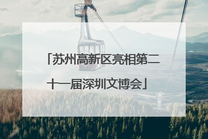 苏州高新区亮相第二十一届深圳文博会
