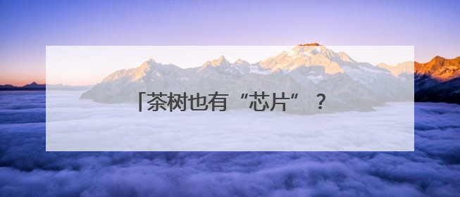 茶树也有“芯片”？守护者是他们……