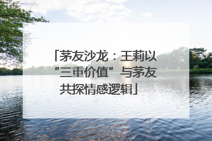 茅友沙龙：王莉以“三重价值”与茅友共探情感逻辑
