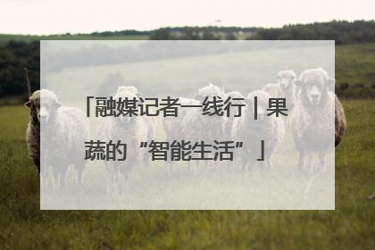 融媒记者一线行｜果蔬的“智能生活”