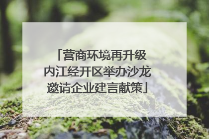 营商环境再升级 内江经开区举办沙龙邀请企业建言献策