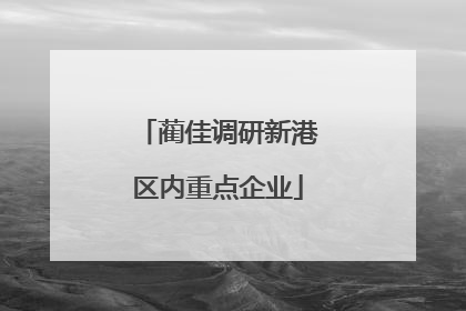 蔺佳调研新港区内重点企业