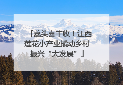 藠头喜丰收！江西莲花小产业撬动乡村振兴“大发展”