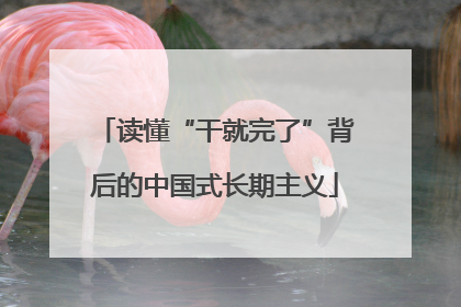 读懂“干就完了”背后的中国式长期主义