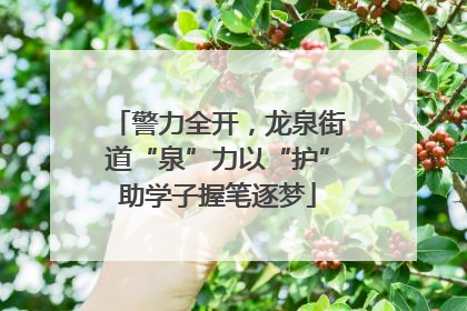 警力全开，龙泉街道“泉”力以“护”助学子握笔逐梦