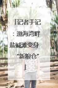 记者手记：渤海湾畔盐碱滩变身“新粮仓”