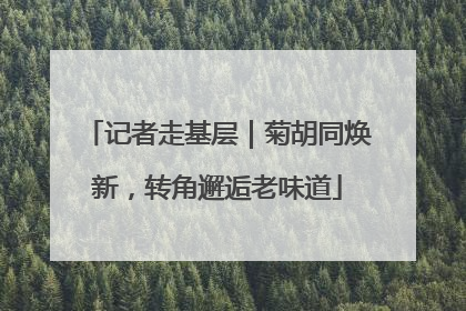 记者走基层｜菊胡同焕新，转角邂逅老味道