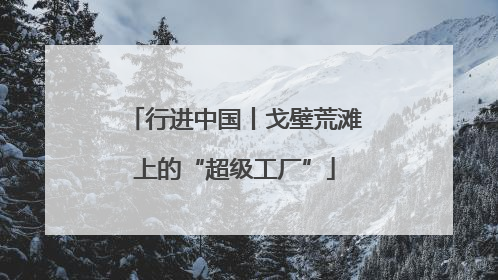 行进中国丨戈壁荒滩上的“超级工厂”