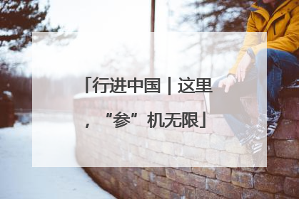 行进中国｜这里，“参”机无限