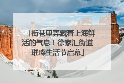 街巷里弄藏着上海鲜活的气息！徐家汇街道璀璨生活节启幕
