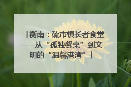 衡南：硫市镇长者食堂——从“孤独餐桌”到文明的“温馨港湾”