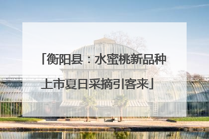 衡阳县：水蜜桃新品种上市夏日采摘引客来