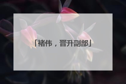 褚伟，晋升副部