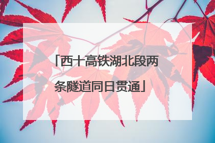 西十高铁湖北段两条隧道同日贯通